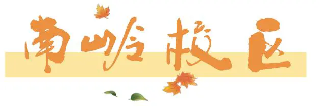 为什么可靠的篮球技术指导对初学者很重要?_0